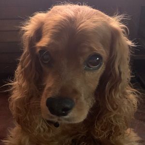 Meet your Posher, Jack